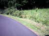 20090724-AVI_0002-frame0007.jpg