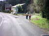 20090724-AVI_0002-frame0010.jpg