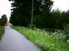 20090731-AVI_0001-frame0008.jpg