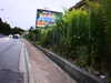 20090731-AVI_0002-frame0012.jpg