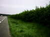 20090731-AVI_0002-frame0015.jpg