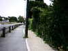 20090731-AVI_0002-frame0027.jpg