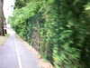 20090731-AVI_0002-frame0030.jpg