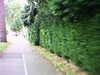 20090731-AVI_0002-frame0033.jpg