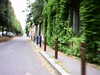 20090731-AVI_0002-frame0034.jpg