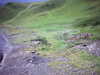 20100702-AVI_0004-frame0016.jpg