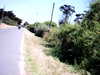 20100704-AVI_0001-frame0004.jpg