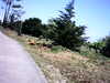 20100704-AVI_0001-frame0008.jpg
