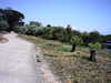 20100704-AVI_0001-frame0009.jpg