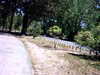 20100704-AVI_0001-frame0010.jpg