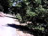 20100704-AVI_0001-frame0011.jpg