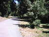 20100704-AVI_0001-frame0013.jpg