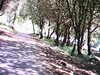 20100704-AVI_0001-frame0014.jpg