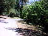 20100704-AVI_0001-frame0017.jpg