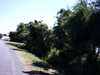 20100704-AVI_0002-frame0002.jpg