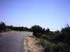 20100704-AVI_0002-frame0005.jpg