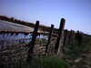 20100704-AVI_0003-frame0003.jpg