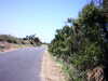 20100704-AVI_0003-frame0005.jpg