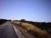20100704-AVI_0004-frame0005.jpg