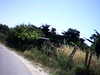 20100704-AVI_0004-frame0008.jpg