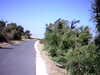 20100704-AVI_0004-frame0009.jpg