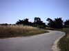 20100704-AVI_0004-frame0012.jpg