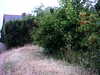20100710-AVI_0002-frame0010.jpg