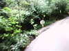 20100800-AVI_0001-frame0005.jpg