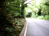 20100800-AVI_0001-frame0006.jpg