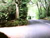 20100800-AVI_0001-frame0008.jpg