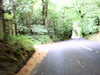 20100800-AVI_0001-frame0009.jpg