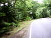 20100800-AVI_0004-frame0006.jpg