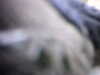 20100905-AVI_0002-frame0006.jpg