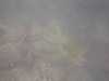 20110711-PICT0001-frame0002.jpg