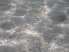20110713-PICT0004-frame0001.jpg