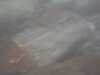 20110713-PICT0002-frame0001.jpg