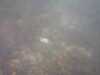 20110713-PICT0005-frame0002.jpg