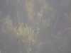 20110713-PICT0011-frame0002.jpg