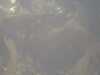 20110813-PICT0007-frame0002.jpg