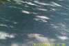 20110814-SUNP0002-frame0002.jpg