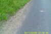 20110814-SUNP0002-frame0003.jpg