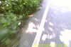 20110814-SUNP0002-frame0008.jpg