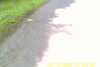 20110814-SUNP0002-frame0009.jpg