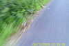 20110814-SUNP0002-frame0011.jpg