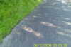 20110814-SUNP0002-frame0015.jpg