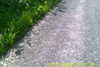 20110814-SUNP0002-frame0016.jpg
