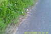 20110814-SUNP0002-frame0017.jpg