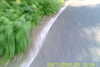 20110814-SUNP0002-frame0018.jpg