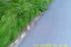 20110814-SUNP0002-frame0024.jpg