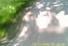 20110814-SUNP0002-frame0025.jpg